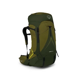 Sac à dos pour homme OSPREY ATMOS AG LT 65 scenic valley/green peppercorn