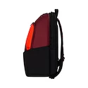 Sac à dos pour raquettes Dunlop   CX Performance Backpack Black/Red 2024