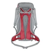 Sac à dos Salewa  Alp Mate 30 WS Alloy