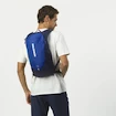 Sac à dos Salomon Trailblazer TRAILBLAZER 10 Surf The Web/Black Iris
