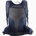 Sac à dos Salomon Trailblazer TRAILBLAZER 20 Surf The Web/Black Iris
