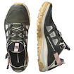 Sandales pour femme Salomon Techamphibian 5 Peat/Rainy Day/Hyma Pink
