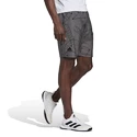 Short pour homme adidas  Club Graphic Short Grey