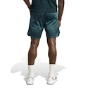 Short pour homme adidas  Tennis Pro Climacool Ergo Shorts Aurora Ivy