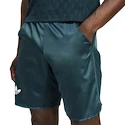 Short pour homme adidas  Tennis Pro Climacool Ergo Shorts Aurora Ivy