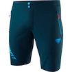 Short pour homme Dynafit  Transalper Light DST Petrol