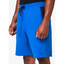 Short pour homme Oakley  VIGOR ELLIPSE SHORT