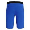 Short pour homme Salewa  Agner Light DST Electric