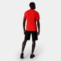 Short pour homme Salewa  Pedroc 3 DST M Cargo Shorts