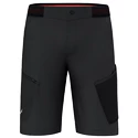 Short pour homme Salewa  Pedroc 3 DST M Cargo Shorts