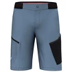 Short pour homme Salewa  Pedroc 3 DST M Cargo Shorts