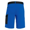 Short pour homme Salewa  Pedroc Cargo 2 Dst Electric