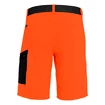 Short pour homme Salewa  Pedroc Cargo 2 Dst Red Orange