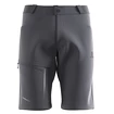 Short pour homme Salomon  Wayfarer Shorts Ebony