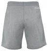 Short pour homme Tecnifibre  Club Short Silver