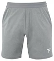 Short pour homme Tecnifibre  Club Short Silver