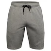 Short pour homme Under Armour