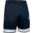 Short pour homme Under Armour