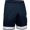 Short pour homme Under Armour