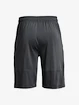 Short pour homme Under Armour  Raid 2.0 Shorts-GRY