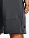 Short pour homme Under Armour  Raid 2.0 Shorts-GRY