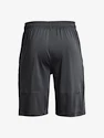 Short pour homme Under Armour  Raid 2.0 Shorts-GRY