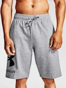 Short pour homme Under Armour  Rival FLC Big Logo Shorts gray M