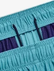Short pour homme Under Armour  Tech Vent Short-BLU