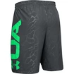 Short pour homme Under Armour  Vanish Woven Emboss