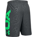 Short pour homme Under Armour  Vanish Woven Emboss