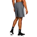 Short pour homme Under Armour  Woven Graphic Wordmark Short Grey