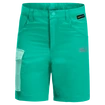 Shorts pour enfant Jack Wolfskin  Active Shorts Deep Mint