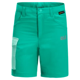 Shorts pour enfant Jack Wolfskin Active Shorts Deep Mint