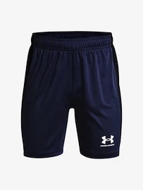 Shorts pour garçon Under Armour Y Challenger Knit Short-NVY