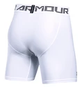 Shorts Under Armour HeatGear