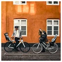 Siège de vélo Thule Yepp 2 Mini- Front Mount- Alaska