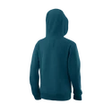 Sweat-shirt pour enfant Wilson  Script Cotton Hoody Y Blue Coral