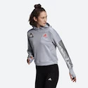 Sweat-shirt pour femme adidas  Space Hoodie Halo Silver