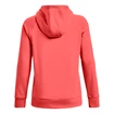 Sweat-shirt pour femme Under Armour  Rival Fleece Logo Hoodie Miami