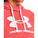 Sweat-shirt pour femme Under Armour  Rival Fleece Logo Hoodie Miami