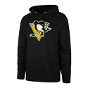 Sweat-shirt pour homme 47 Brand  NHL Pittsburgh Penguins Imprint ’47 BURNSIDE Hood