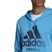 Sweat-shirt pour homme adidas  Category Graphic Hoodie Blue