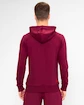 Sweat-shirt pour homme BIDI BADU  Protected Leafs Chill Hoody Bordeaux