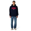 Sweat-shirt pour homme CCM  Flag Hood Team CZE Navy