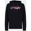 Sweat-shirt pour homme Oakley  B1B PO HOODIE 2.0