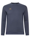 Sweat-shirt pour homme Warrior Aurum Sweater Grey