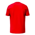 T-shirt pour enfant Head  CLUB ORIGINAL T-Shirt Junior RD