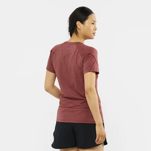 T-shirt pour femme Salomon  Cross Run Graphic Tee Cabernet