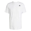 T-shirt pour homme adidas  Club Tennis Climacool Graphic T-Shirt White