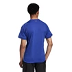 T-shirt pour homme adidas  Tennis Freelift Tee Victory Blue/White